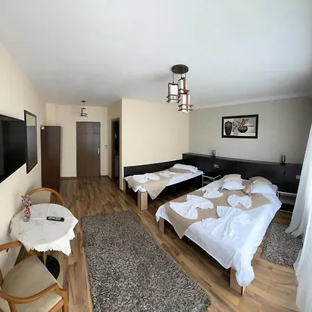 Guest house Casa Alex 3*