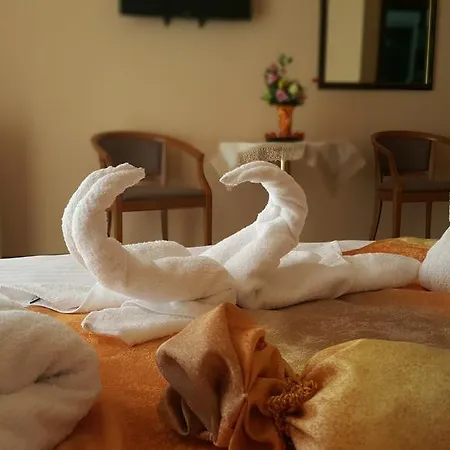 Guest house Casa Alex 3*