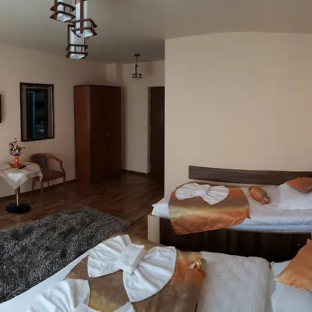 Casa Alex Guest house Targu Jiu