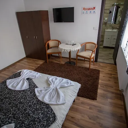 Guest house Casa Alex Targu Jiu