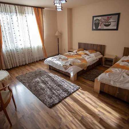 Guest house Casa Alex Targu Jiu