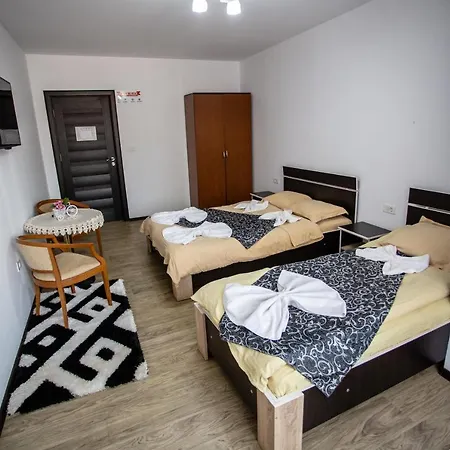 Casa Alex 3* Targu Jiu