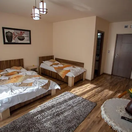 Casa Alex Guest house 3*